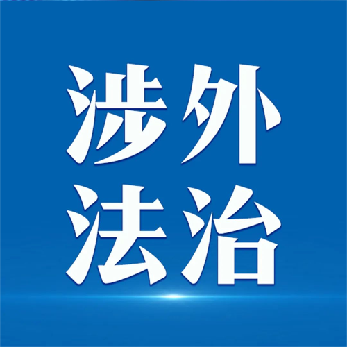 广西研发应用法律咨询服务人工智能体